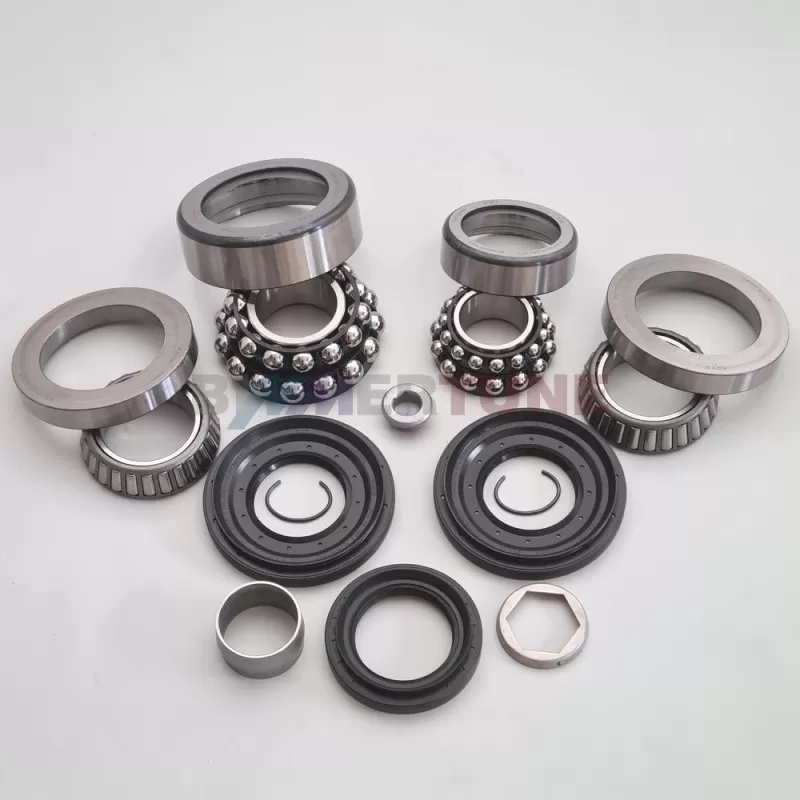 Differential rebuild set 215L • BMW 330d 335d 530d 535d & other |2008-2018|