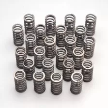 Valve springs